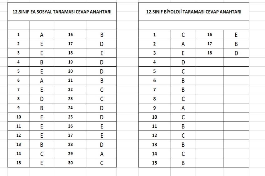 12.Sınıf - Tarama Cevap Anahtarları.(25.03.2026)